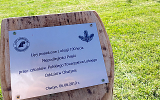 Drzewa upamiętnią 100-lecie niepodległości. W seminarium „Hosianum” posadzono 5 lip